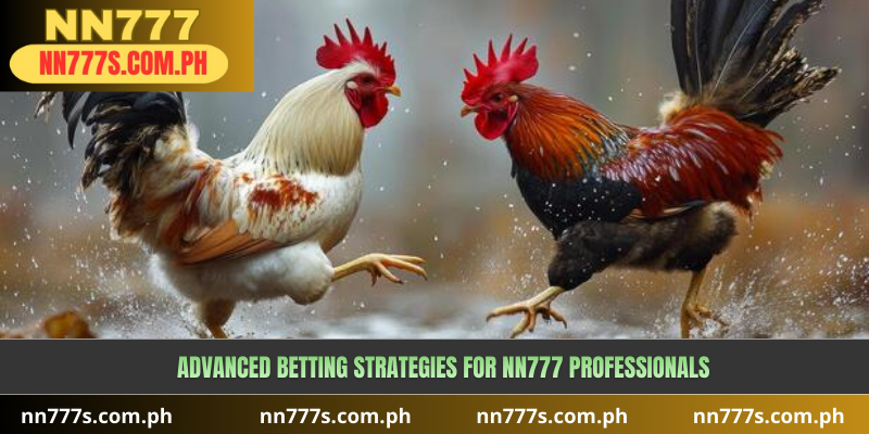 Advanced Betting Strategies for NN777 Professionals