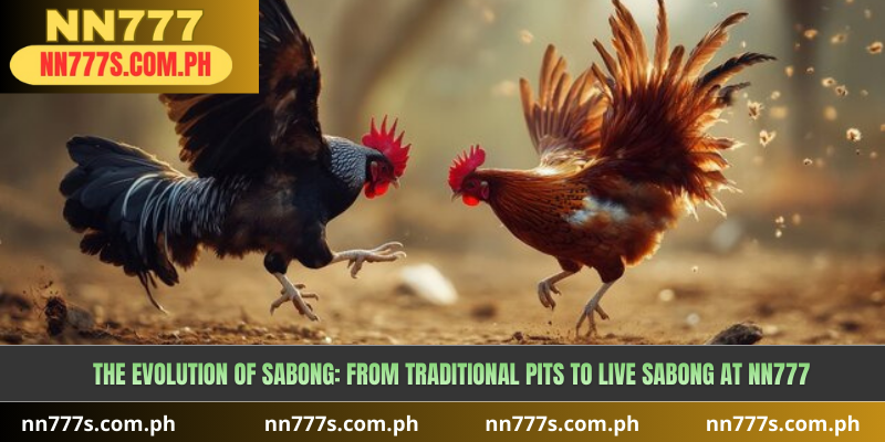 The Evolution of Sabong: From Traditional Pits to Live Sabong at NN777