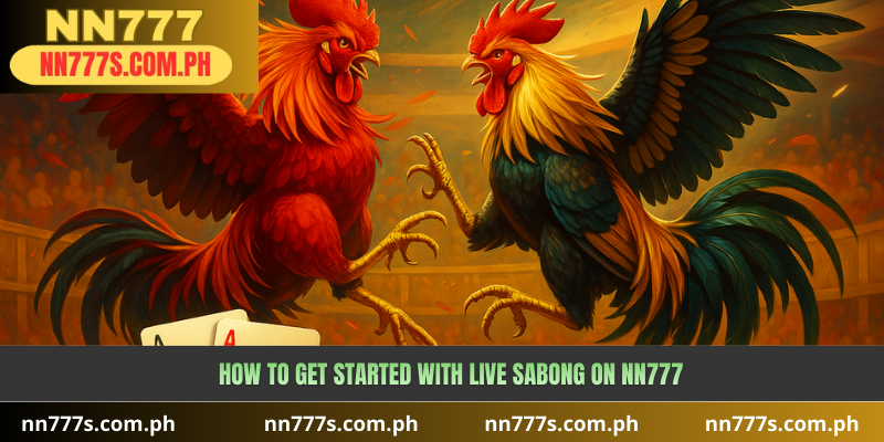 How to Get Started with Live Sabong on NN777