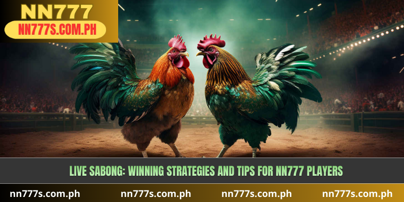 Live Sabong: Winning Strategies and Tips for NN777 Players