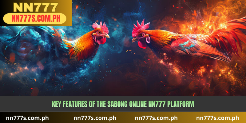Key Features of the Sabong Online NN777 Platform
