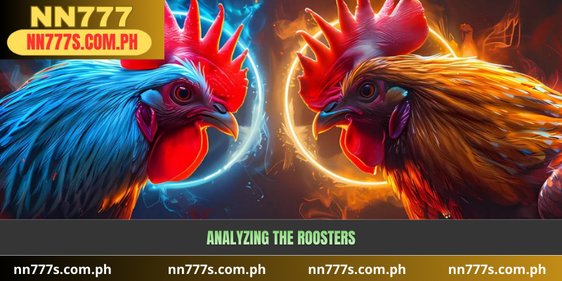 Analyzing the Roosters