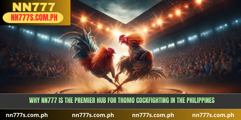 Why NN777 is the Premier Hub for Thomo Cockfighting in the Philippines